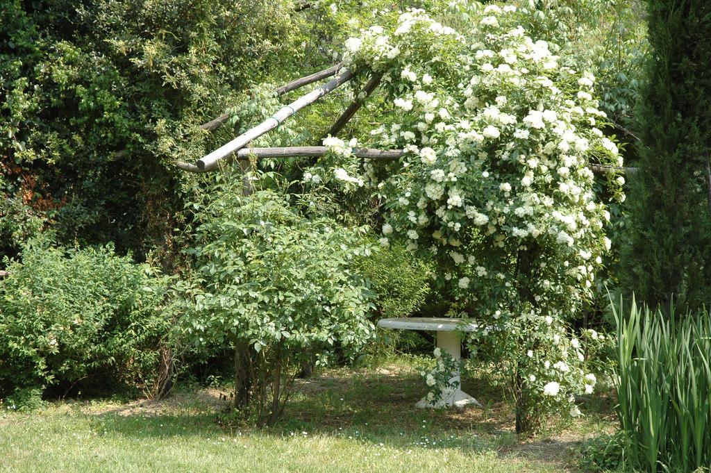 Appartamento Con Patio Privato E Giardino Tra Pisa E Firenze Palaia Εξωτερικό φωτογραφία