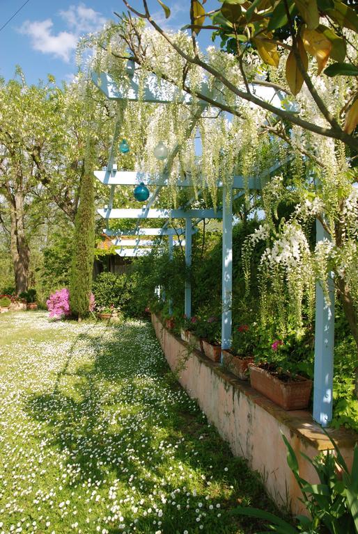Appartamento Con Patio Privato E Giardino Tra Pisa E Firenze Palaia Εξωτερικό φωτογραφία
