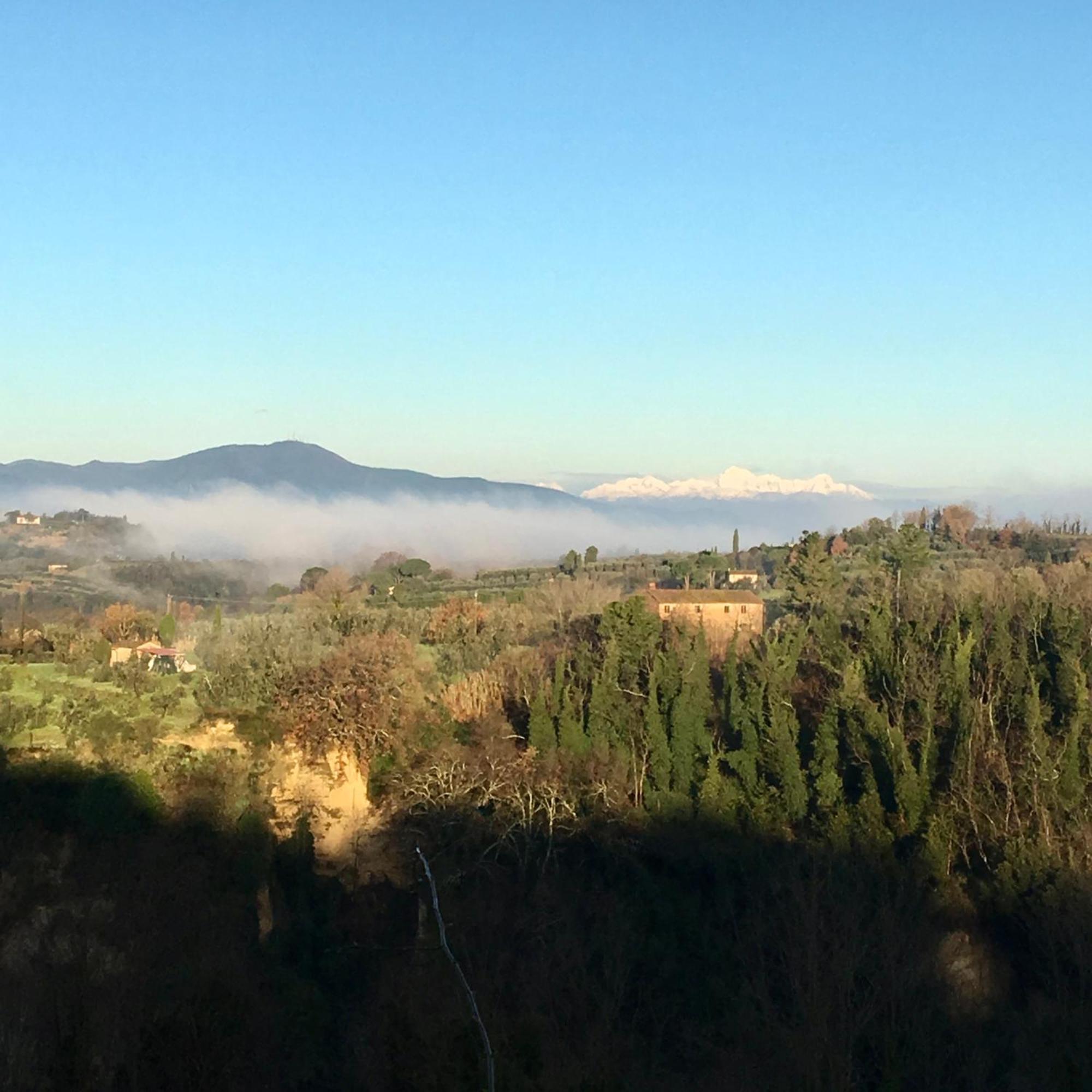 Appartamento Con Patio Privato E Giardino Tra Pisa E Firenze Palaia Εξωτερικό φωτογραφία