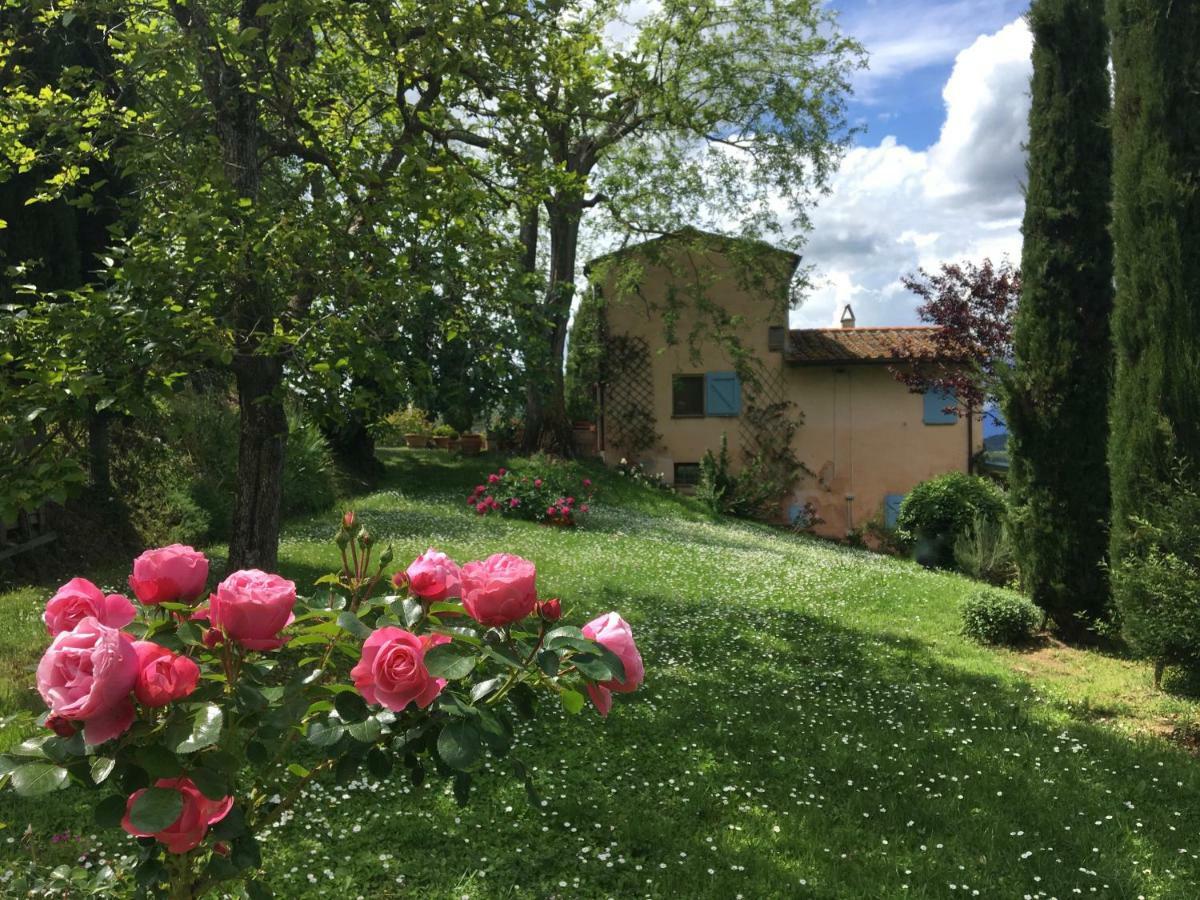 Appartamento Con Patio Privato E Giardino Tra Pisa E Firenze Palaia Εξωτερικό φωτογραφία